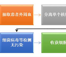 細(xì)胞計(jì)數(shù)儀如何應(yīng)用于生物免疫治療？